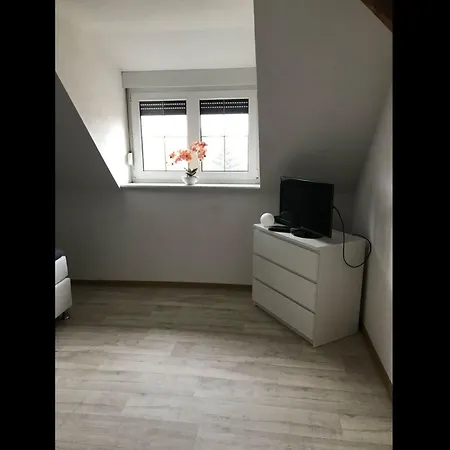 Neu! Gremminer Grafenhainichen